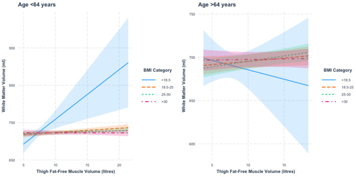 Interactions between muscle volume and body mass index on brain structure in the UK Biobank.