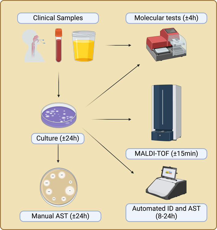 eHealth and mHealth in Antimicrobial Stewardship Programs.