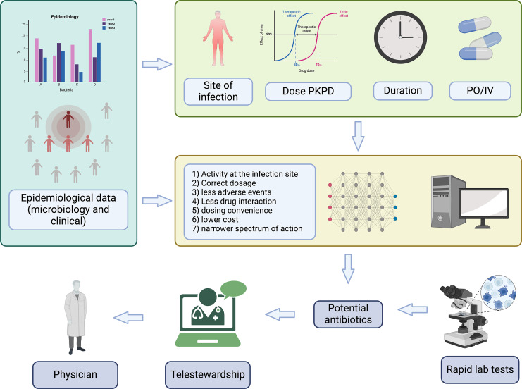 eHealth and mHealth in Antimicrobial Stewardship Programs.