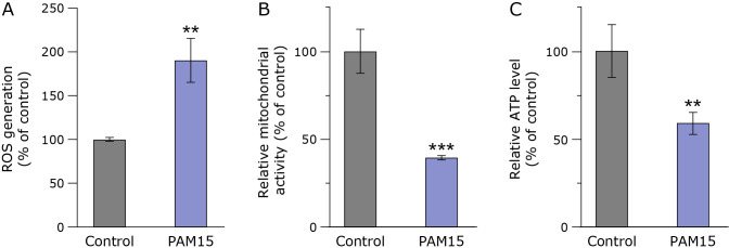 Plasma-activated medium exerts tumor-specific inhibitory effect on hepatocellular carcinoma via disruption of the salvage pathway.