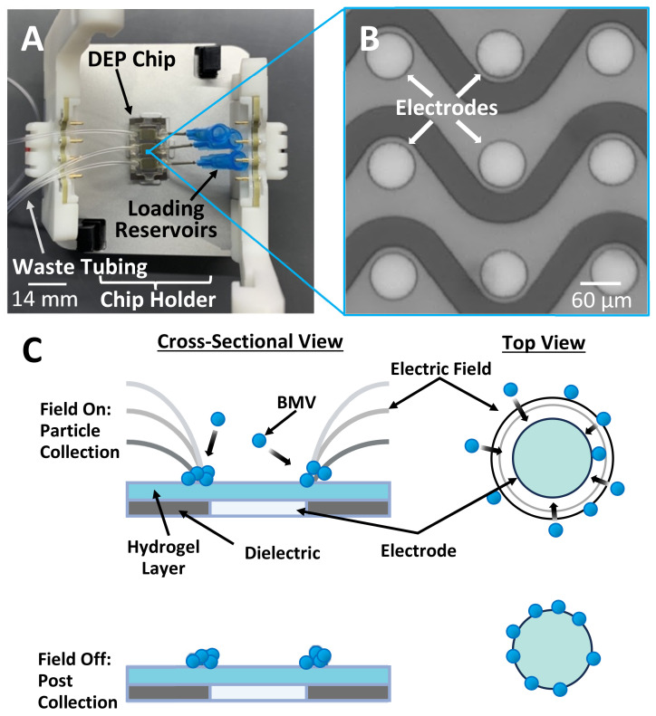 摘要图片