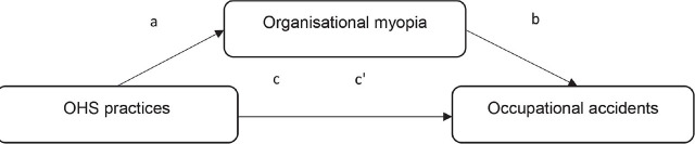 Does organisational myopia mediate the effect of occupational health and safety practices on the risk of occupational accidents in Turkish healthcare institutions?