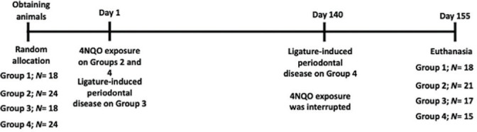 Effect of exposure to the carcinogen 50 ppm 4-nitroquinoline 1-oxide on alveolar bone loss.