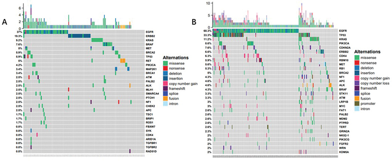 Genomic Landscape Features of Minimally Invasive Adenocarcinoma and Invasive Lung Adenocarcinoma.