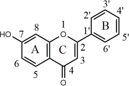 Abstract Image