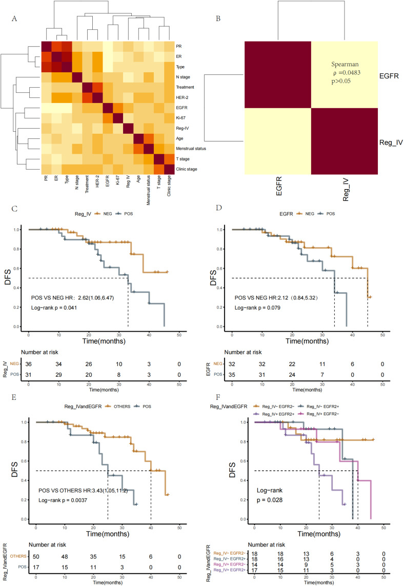 Elevated Risk of Adverse Prognosis in Patients with T2-3 Stage Breast Cancer Exhibiting Non-Pathological Complete Response Following Neoadjuvant Chemotherapy: Significance of Regenerating Islet-Derived Family Member 4.