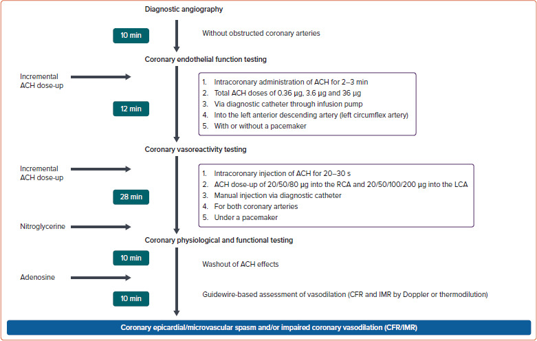 The Need for Separate Testing with Acetylcholine for the Assessment of Endothelial Dysfunction and Coronary Artery Spasm.