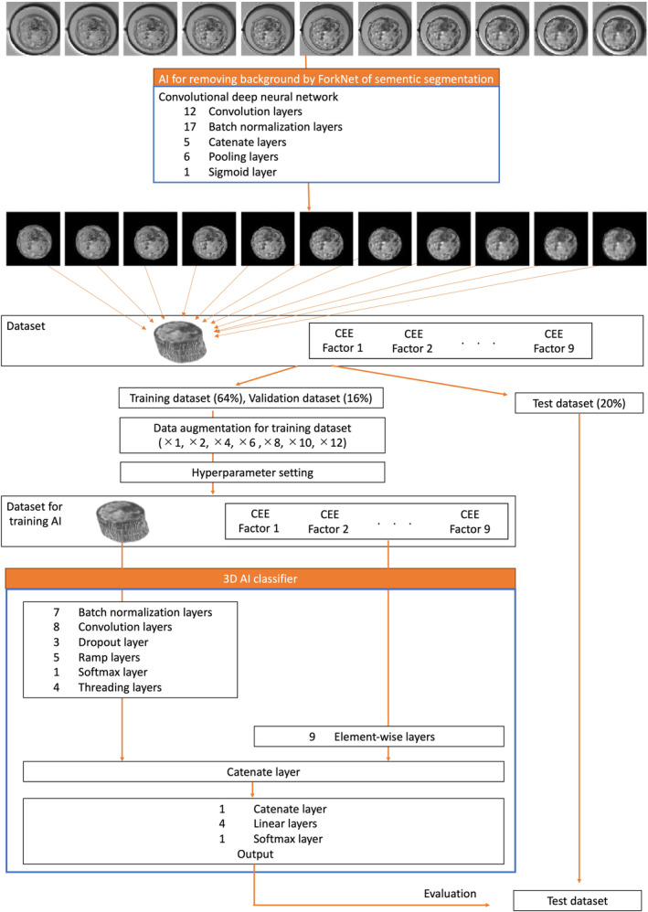 Predicting implantation by using dual AI system incorporating three-dimensional blastocyst image and conventional embryo evaluation parameters-A pilot study.