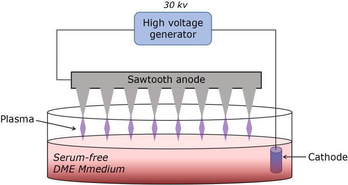 Plasma-activated medium exerts tumor-specific inhibitory effect on hepatocellular carcinoma via disruption of the salvage pathway.