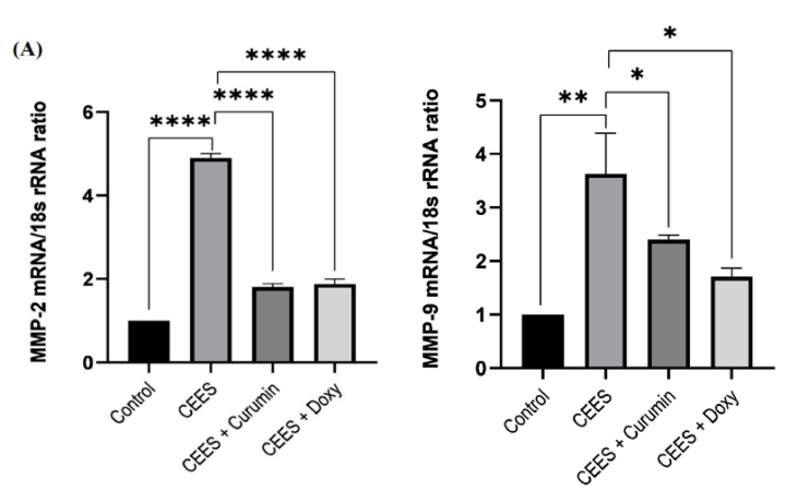 Doxycycline versus Curcumin for Inhibition of Matrix Metalloproteinase Expression and Activity Following Chemically Induced Inflammation in Corneal Cells.