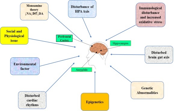 Exploring the Potential of Saffron as a Therapeutic Agent in Depression Treatment: A Comparative Review.