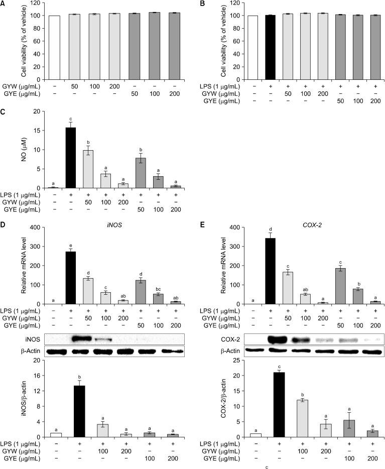 Protective Responses of Green Yuja Peel Extracts to Lipopolysaccharide-Induced Inflammation and Reactive Oxygen Species Production in RAW264.7 Cells.