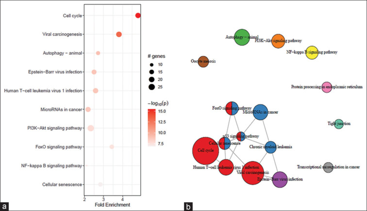Analysis of Human Papillomavirus-Associated Cervical Cancer Differentially Expressed Genes and Identification of Prognostic Factors using Integrated Bioinformatics Approaches.