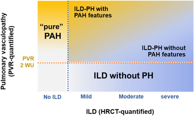 A PrOsPective Cohort Study on Interstitial Lung Disease-Associated Pulmonary Hypertension with a ParticulaR Focus on the Subset with Pulmonary Arterial Hypertension Features (POPLAR Study).