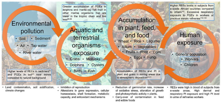 Rare Earth and Platinum Group Elements In Sub-Saharan Africa and Global Health: The Dark Side of the Burgeoning of Technology.