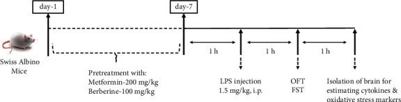 Neuroprotective Effects of Metformin and Berberine in Lipopolysaccharide-Induced Sickness-Like Behaviour in Mice.