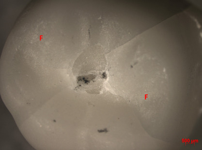 Abstract Image