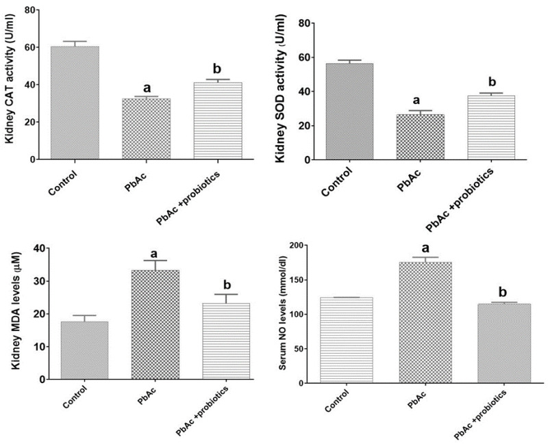 Protective effects of a mixture of multi-strain native Iranian probiotics on lead acetate-induced toxicity in the kidney of male rats: An integrated biochemical, molecular and histopathological study.