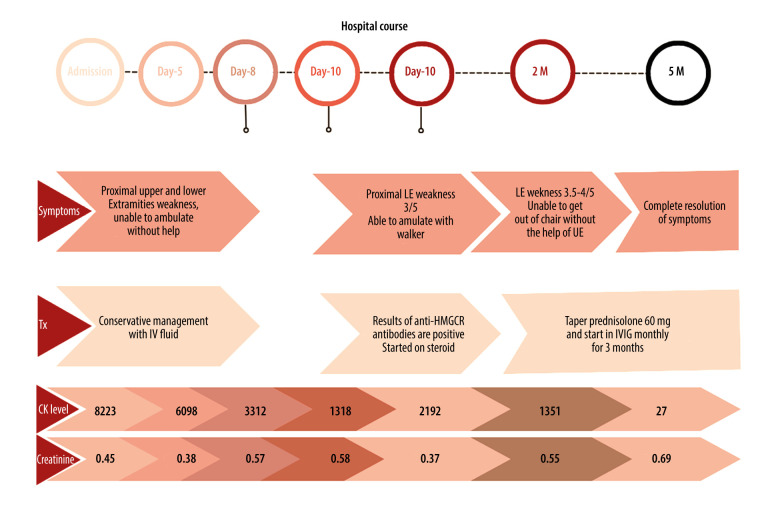 Statin-Induced Autoimmune Myopathy: A Diagnostic Challenge in Muscle Weakness.