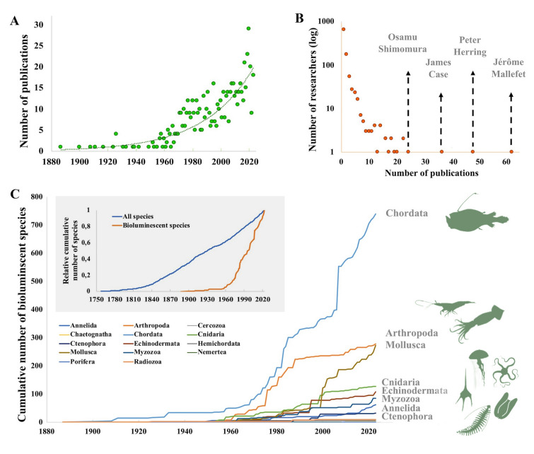 Marine eukaryote bioluminescence: a review of species and their functional biology.