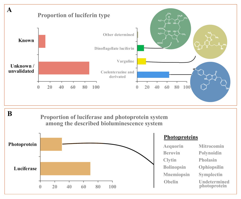 Marine eukaryote bioluminescence: a review of species and their functional biology.