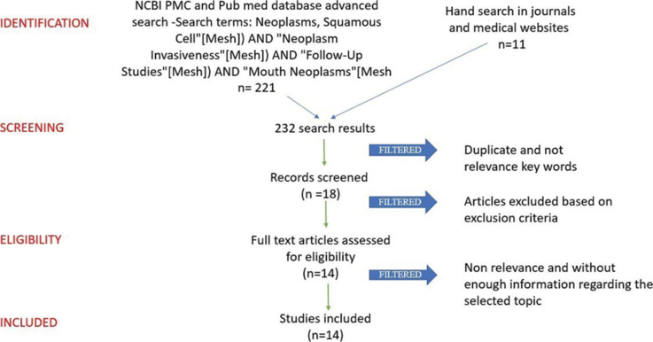 Microinvasive oral squamous cell carcinoma: A management protocol.