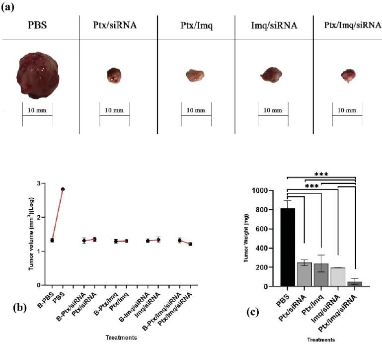 Targeting hypoxia-inducible factor 1 alpha augments synergistic effects of chemo/immunotherapy via modulating tumor microenvironment in a breast cancer mouse model.