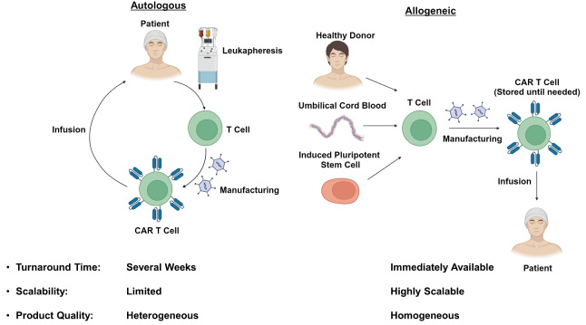 Allogeneic and other innovative chimeric antigen receptor platforms.