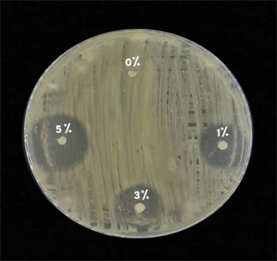 Comprehensive evaluation of early shear bond strength and antimicrobial activity in orthodontic adhesives enhanced with salvadora persica oil.