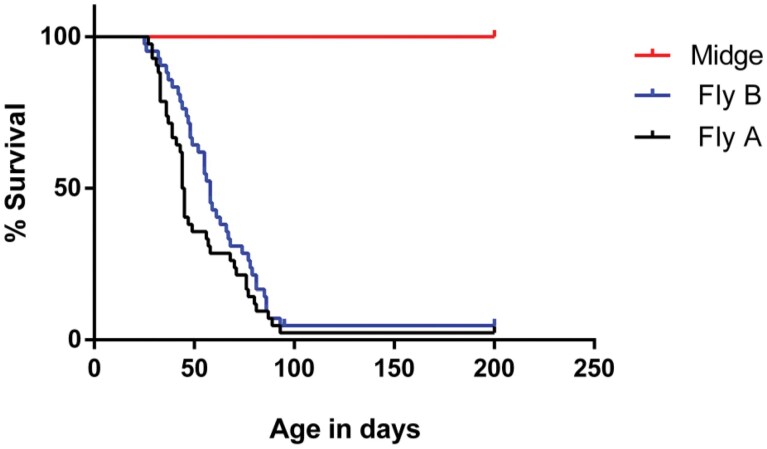 The critical role of arachidonic acid on molting in spiders.