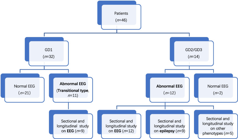 Electroencephalogram and phenotype patterns in neuronopathic Gaucher disease patients - ten years of experience in a single center.