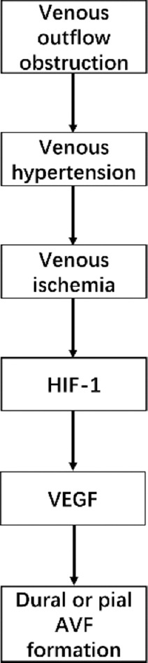 Intracranial dural arteriovenous fistulas with pial arterial supply: A narrative review.