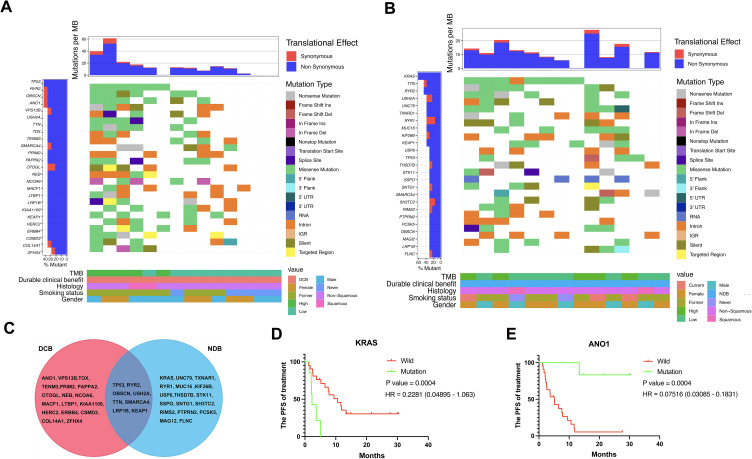 Clinical Significance and Molecular Annotation for PD-L1 Negative Advanced Non-Small Cell Lung Cancer with Sensitivity to Responsive to Dual PD-1/CTLA-4 Blockade.