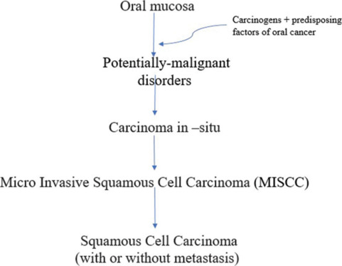 Microinvasive oral squamous cell carcinoma: A management protocol.