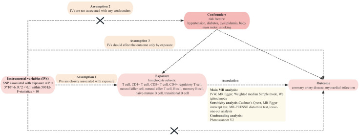 Causal Relationships between Lymphocyte Subsets and Risk of Coronary Artery Disease: A Two-Sample Mendelian Randomization Study.