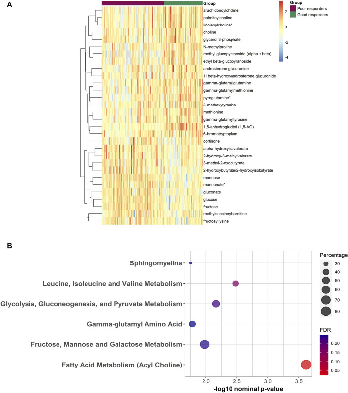 Pharmacometabolomics of sulfonylureas in patients with type 2 diabetes: a cross-sectional study.