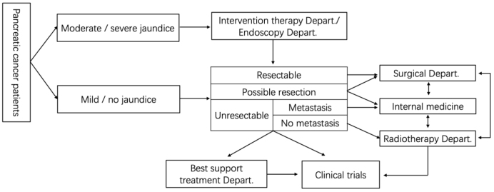 An Overview of Pancreatic Cancer Diagnosis and Treatment in China: Current Landscape and Future Prospects.