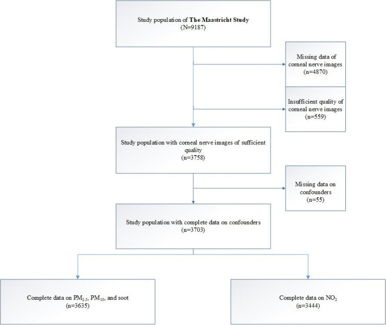 Greater exposure to PM<sub>2.5</sub> and PM<sub>10</sub> was associated with lower corneal nerve measures: the Maastricht study - a cross-sectional study.