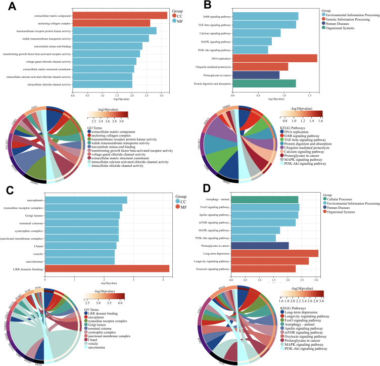 Clinical Significance and Molecular Annotation for PD-L1 Negative Advanced Non-Small Cell Lung Cancer with Sensitivity to Responsive to Dual PD-1/CTLA-4 Blockade.