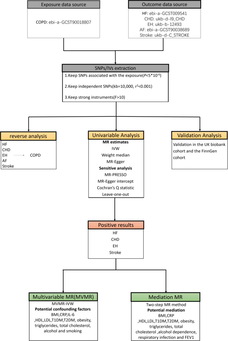 Bidirectional Causal Association Between Chronic Obstructive Pulmonary Disease and Cardiovascular Diseases: A Mendelian Randomization Study.