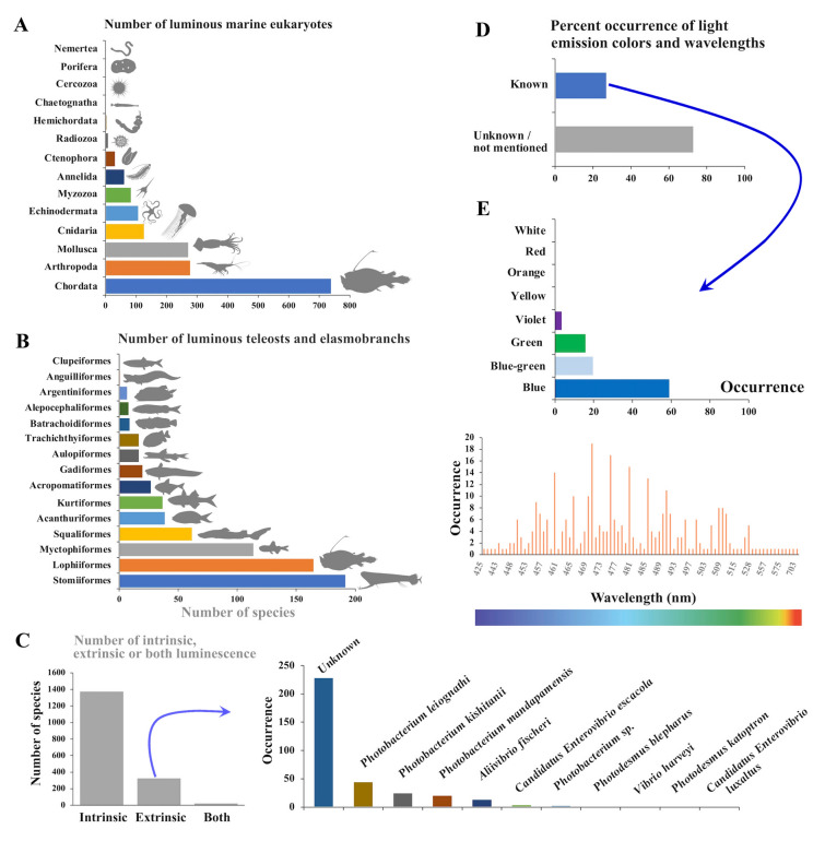 Marine eukaryote bioluminescence: a review of species and their functional biology.