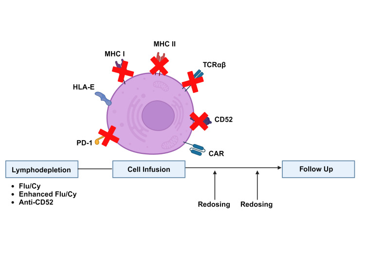 Allogeneic and other innovative chimeric antigen receptor platforms.