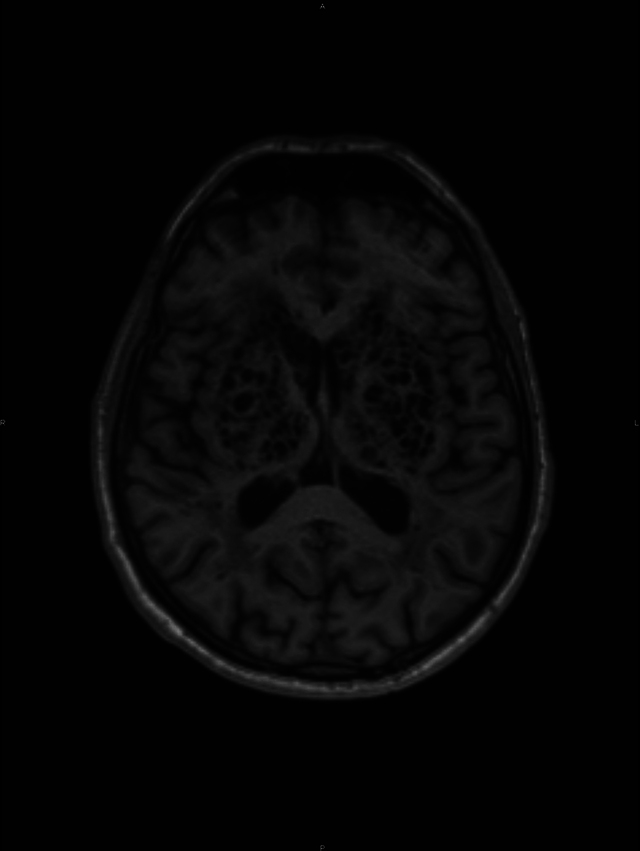 Abstract Image