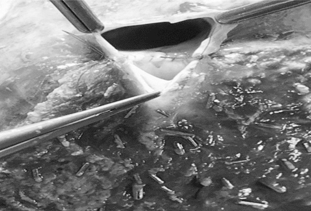 Abstract Image