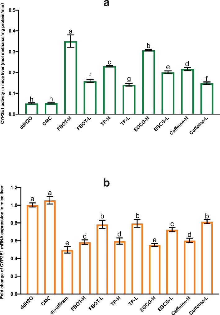 The impact of freeze-dried Baiyedancong-Oolong tea aqueous extract containing bioactive compounds on the activities of CYP450 enzymes, the transport capabilities of P-gp and OATs, and transcription levels in mice.