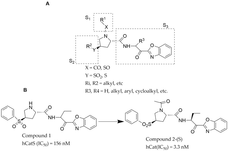 Advances in Cathepsin S Inhibition: Challenges and Breakthroughs in Drug Development.