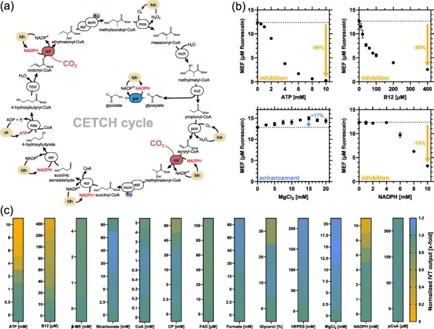 <i>In vitro</i> transcription-based biosensing of glycolate for prototyping of a complex enzyme cascade.