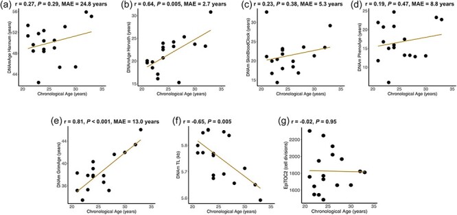 Bronchial cell epigenetic aging in a human experimental study of short-term diesel and ozone exposures.
