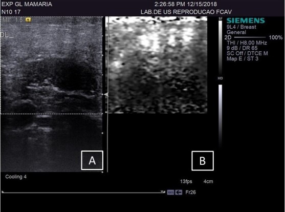 Evaluation of ARFI elastography for detecting active mastitis in sheep with previous fibrous lesions: a study of mammary parenchyma and supramammary lymph nodes.