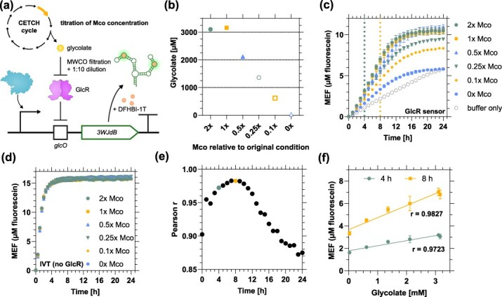 <i>In vitro</i> transcription-based biosensing of glycolate for prototyping of a complex enzyme cascade.